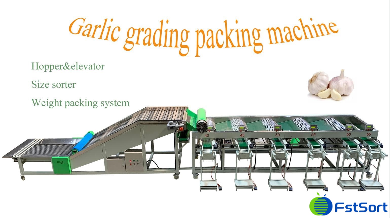 garlic grading packing machine garlic grading packing machine